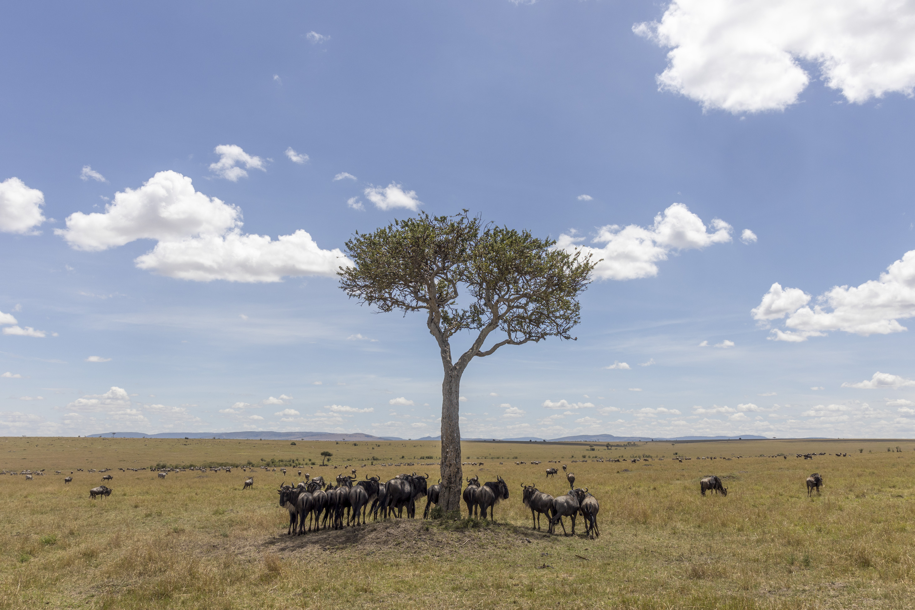 November 11, 2022-113807-2-Edit.jpg